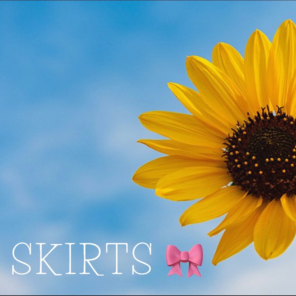 Skirts in Kimmee’s Closet